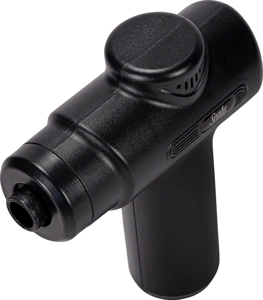 Sealy Sealy® Deep Tissue Therapy Mini Massager - EBY09 Black