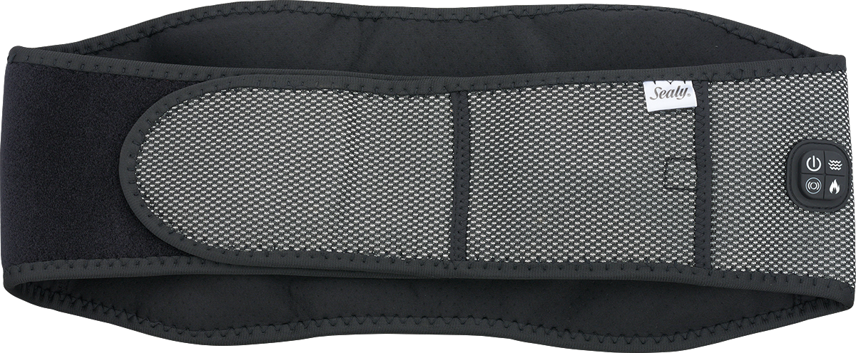 Sealy Sealy® Massage Belt - EBY13 Gray