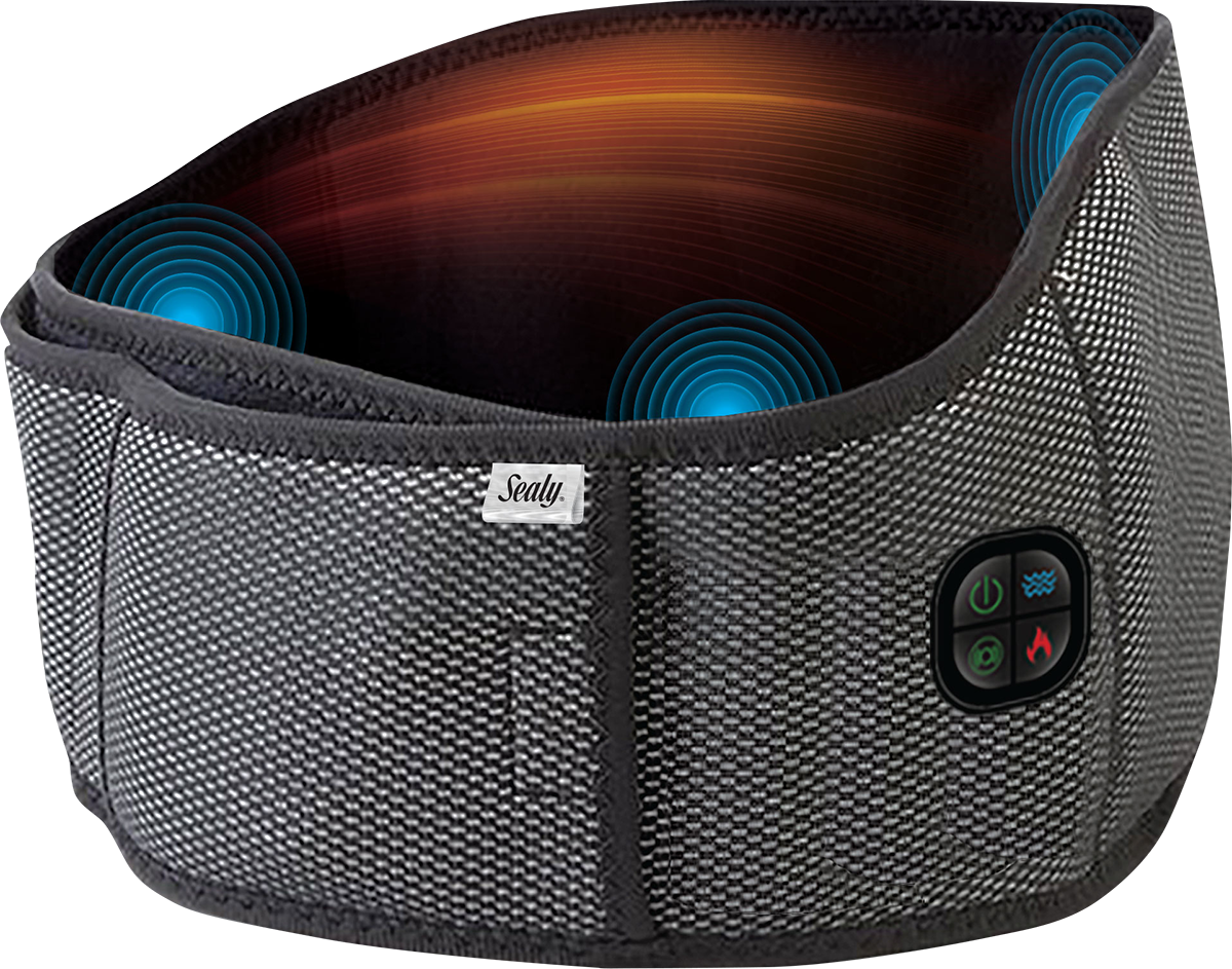 Sealy Sealy® Massage Belt - EBY13 Gray