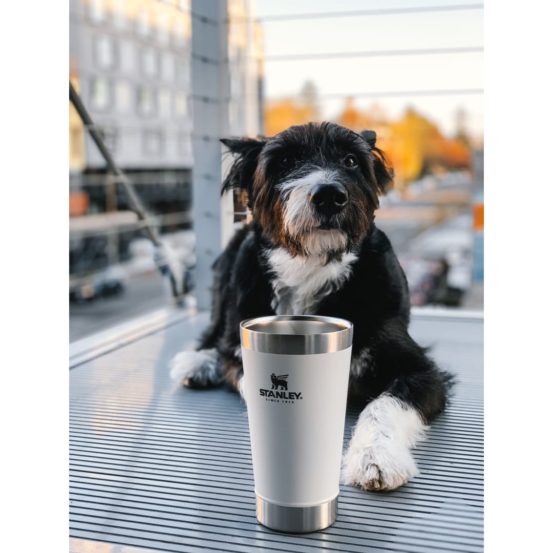 Stanley Stanley Stay-Chill Stacking Pint 16oz - 1603-16 White