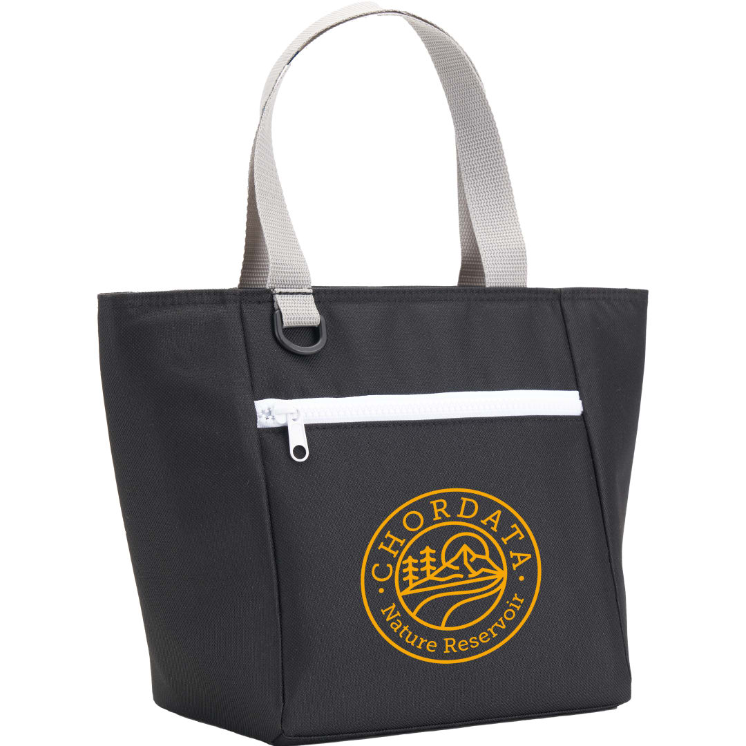 Focus RPET 6 Can Lunch Cooler - SM-7943 Black