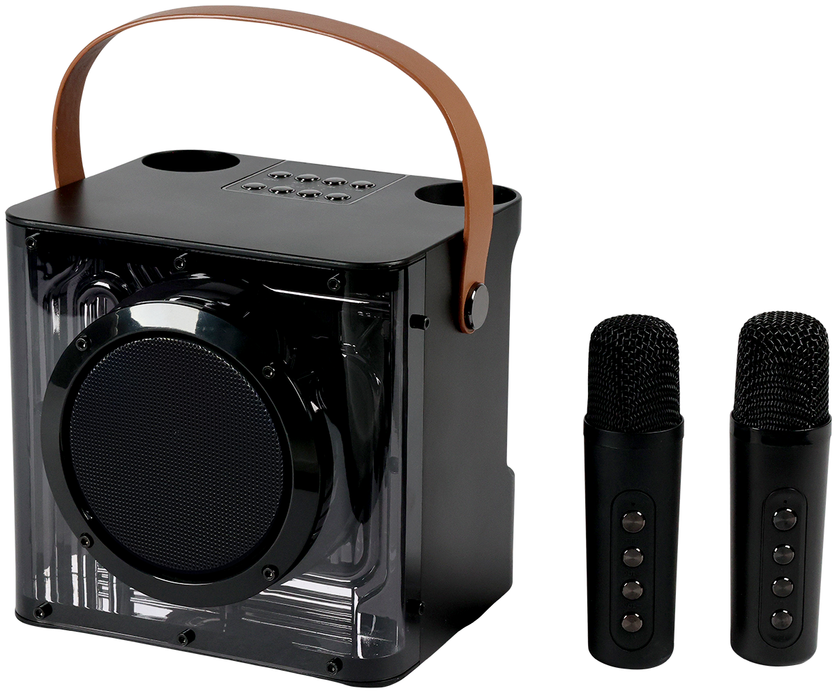 15W Karaoke Wireless Speaker with 2 Mics - EL230 Black