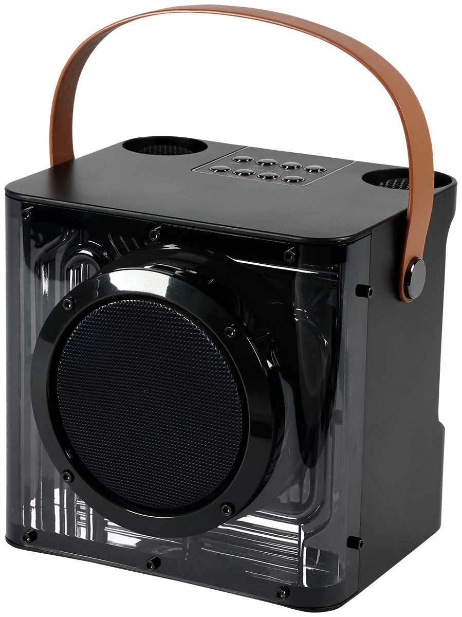 15W Karaoke Wireless Speaker with 2 Mics - EL230 Black