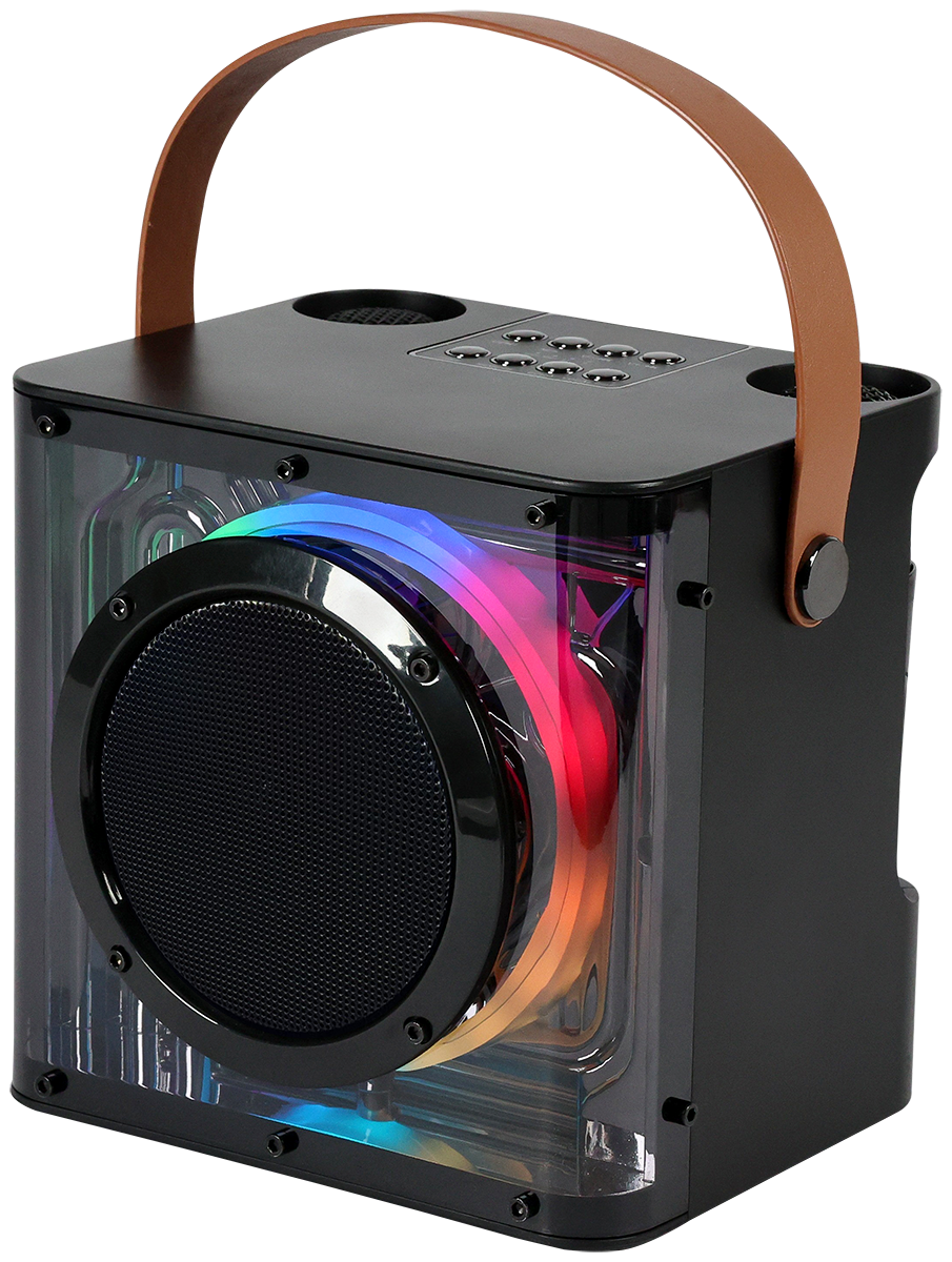 15W Karaoke Wireless Speaker with 2 Mics - EL230 Black