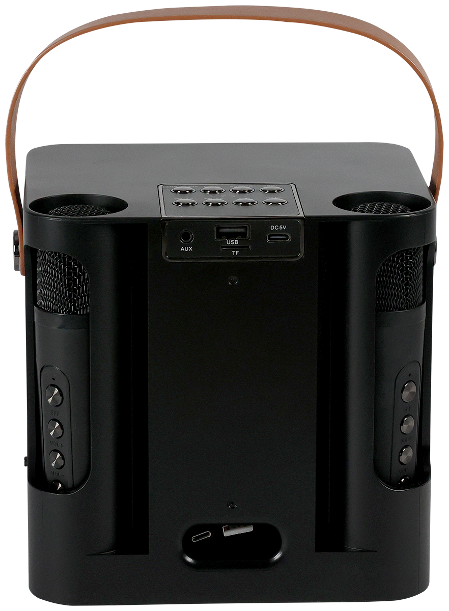 15W Karaoke Wireless Speaker with 2 Mics - EL230 Black