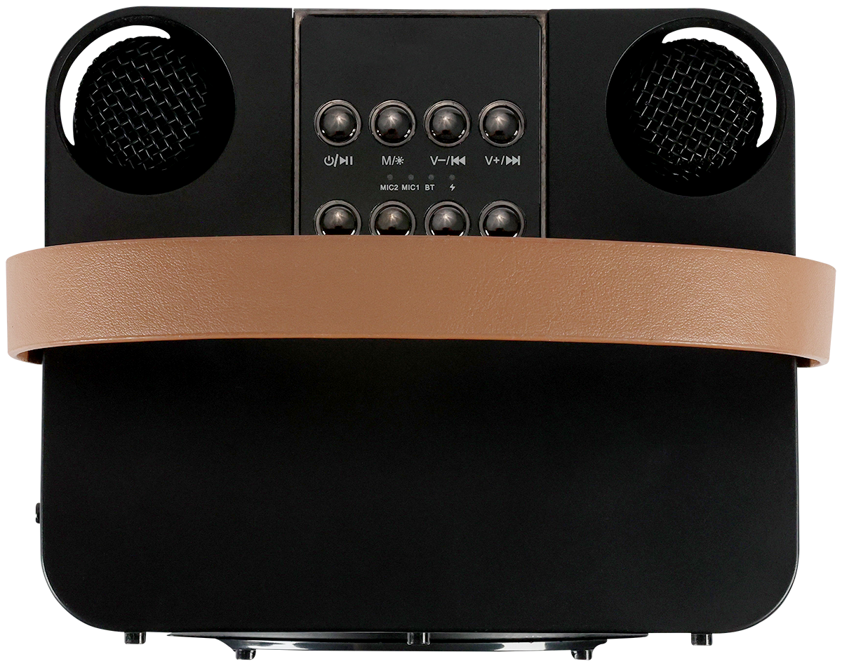 15W Karaoke Wireless Speaker with 2 Mics - EL230 Black