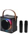 15W Karaoke Wireless Speaker with 2 Mics - EL230 Black