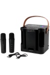 15W Karaoke Wireless Speaker with 2 Mics - EL230 Black