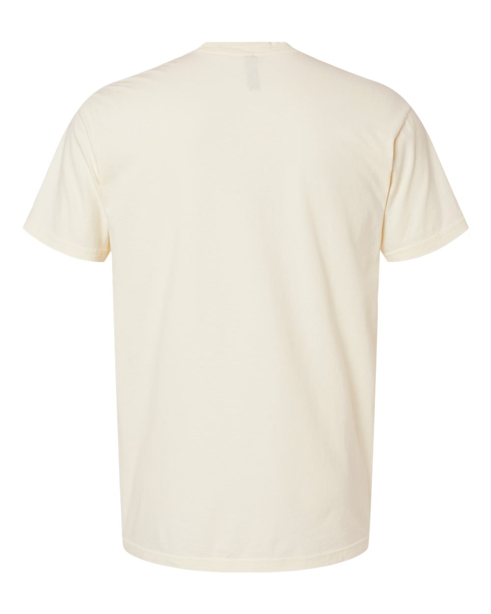 Next Level Unisex Soft Wash T-Shirt - 3600SW Washed Natural