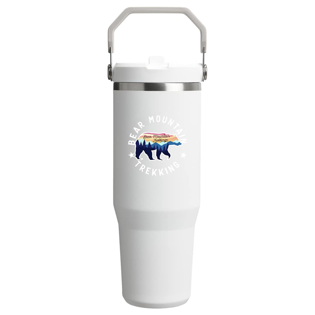 Stanley Stanley IceFlow™ 2.0 Flip Straw Tumbler 30oz - 1603-25 Clear