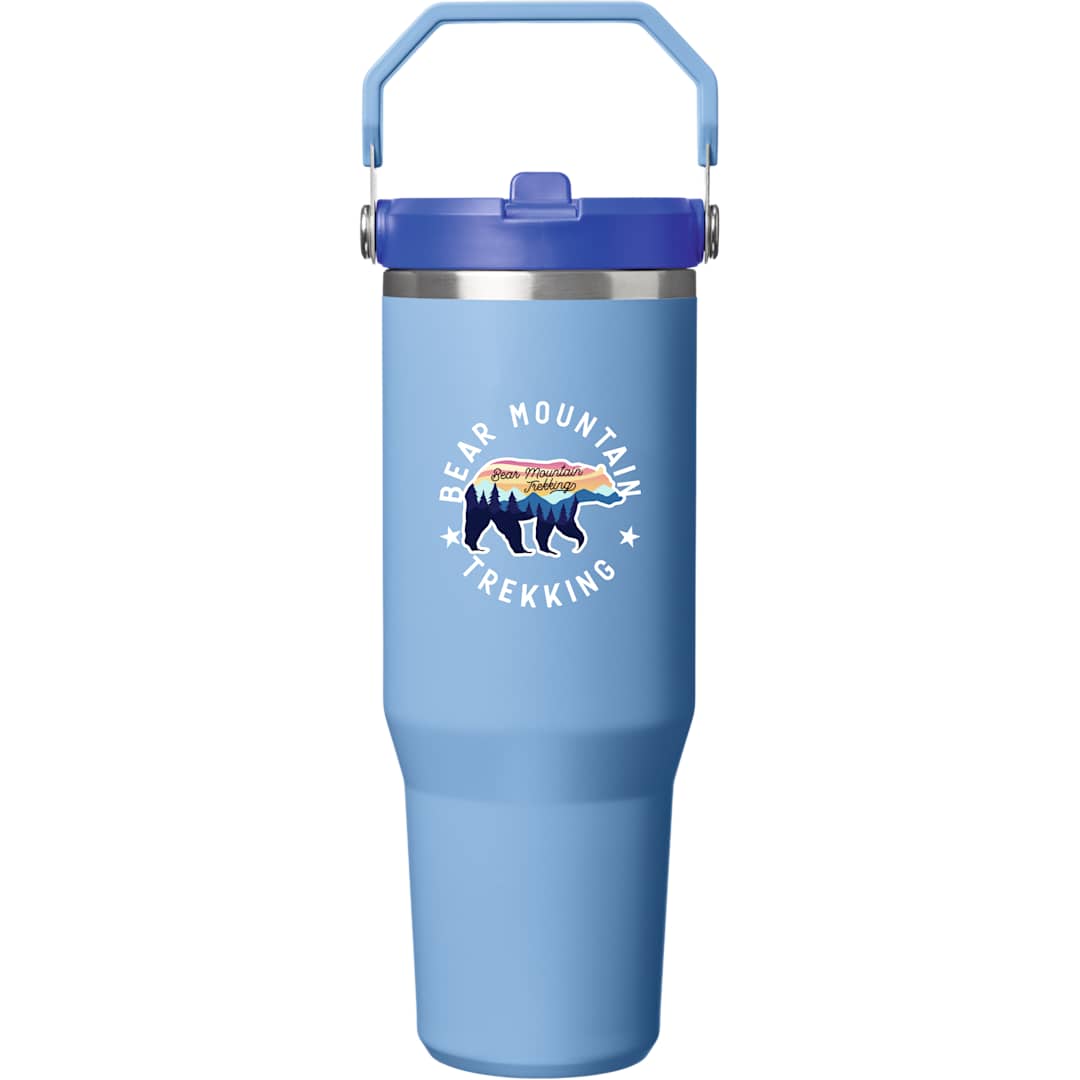Stanley Stanley IceFlow™ 2.0 Flip Straw Tumbler 30oz - 1603-25 Blue