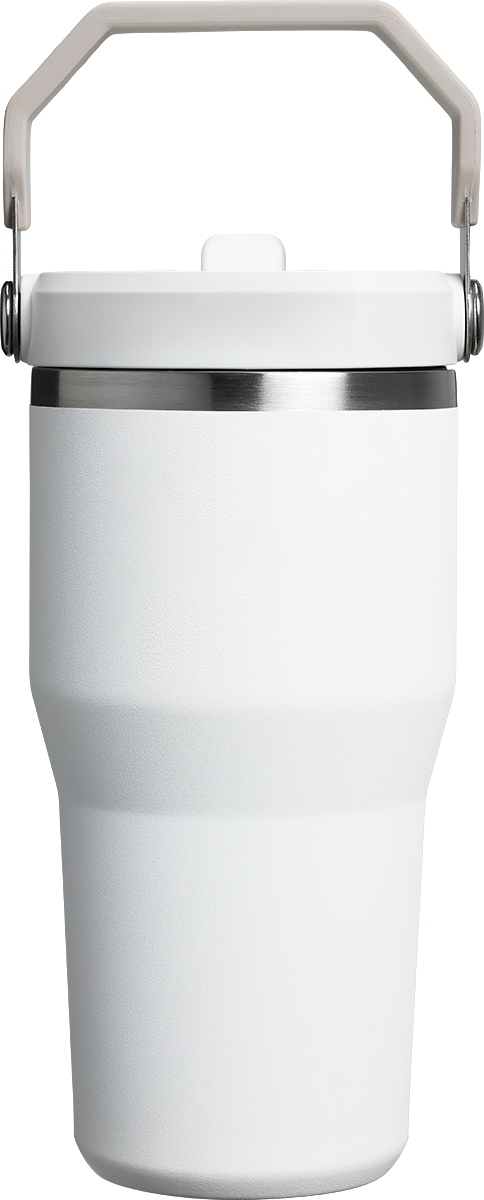Stanley® Stanley® 20oz IceFlow™ Flip Straw Tumbler - STN32 FROST