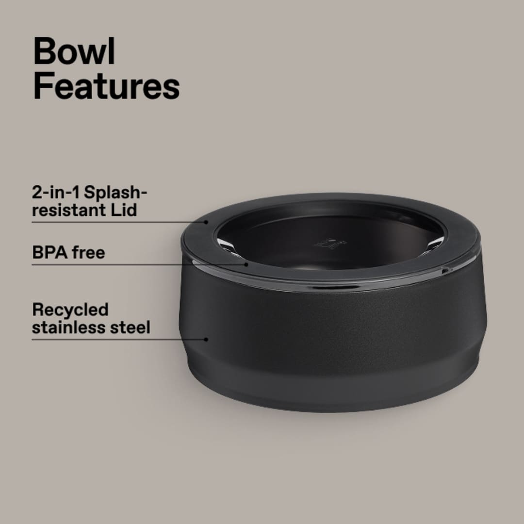 Stanley Stanley Pet Bowl (3 cups, 24OZ) - 1603-80 Black