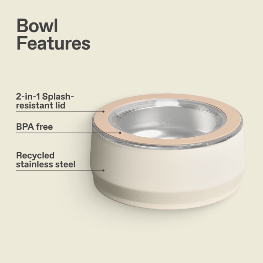 Stanley Stanley Pet Bowl (3 cups, 24OZ) - 1603-80 White