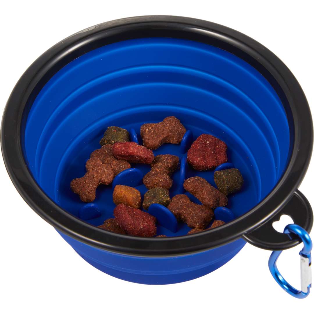 Collapsible Slow Feeder Bowl - 7300-12 Blue