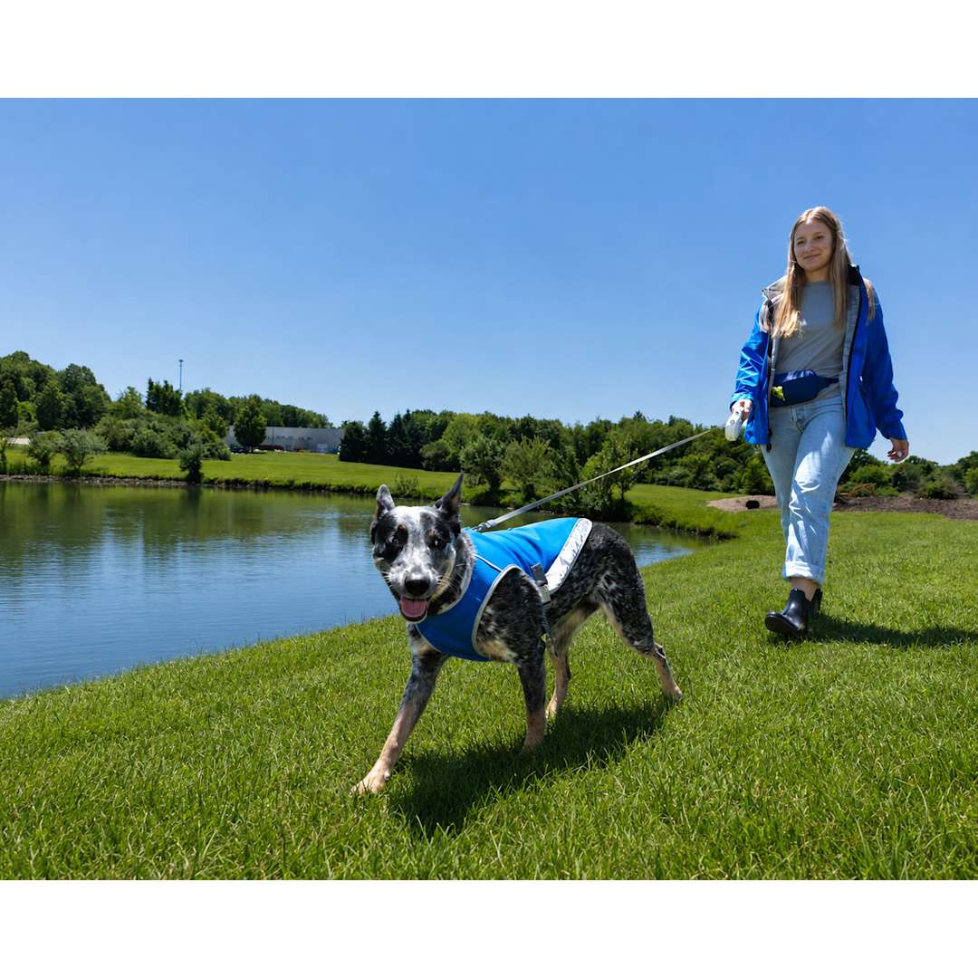 Paws &amp; Claws Reflective Pet Vest (Large) - 7300-34 Blue