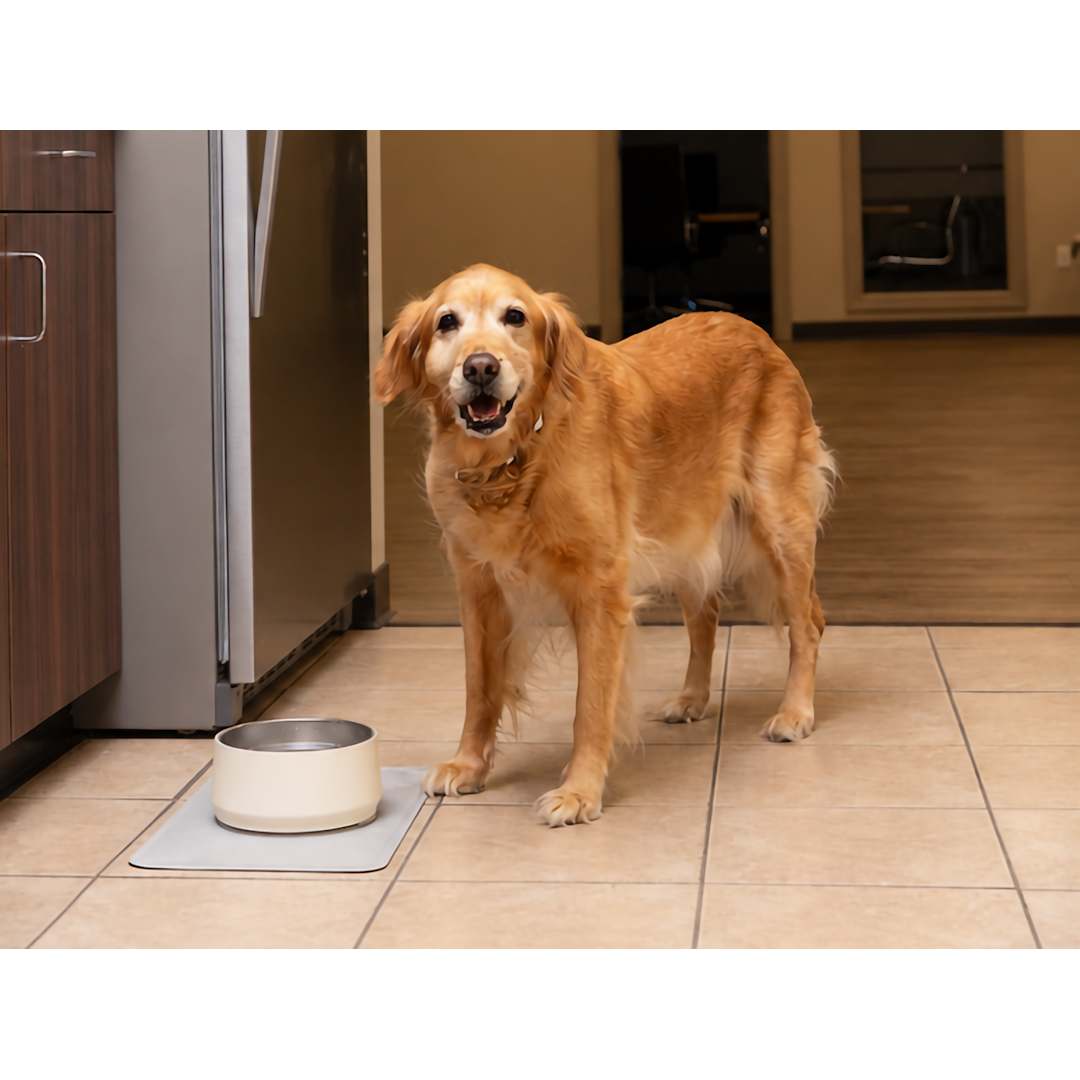 ChowTime Pet Food Mat - 7300-35 Gray