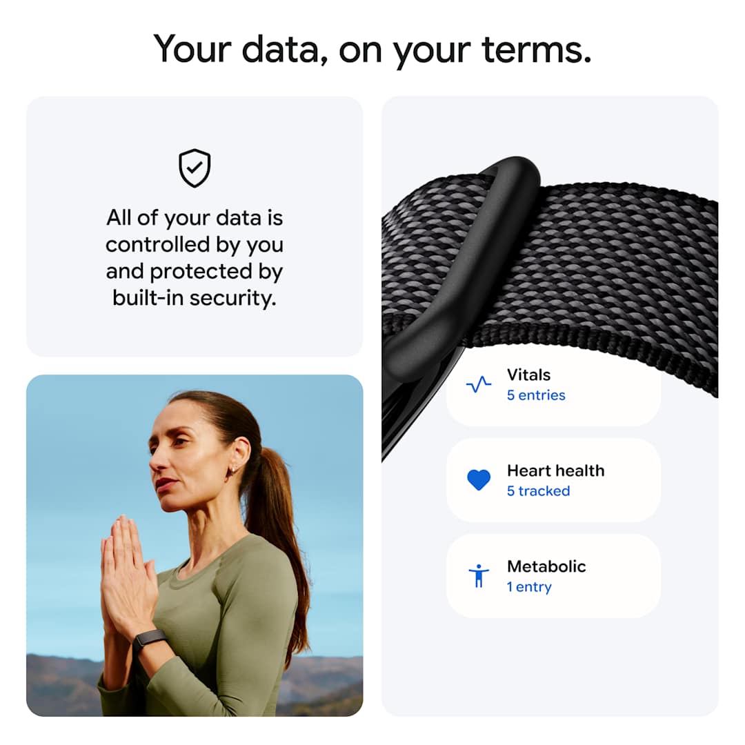 fitbit Google Fitbit Air - 7142-92 Black