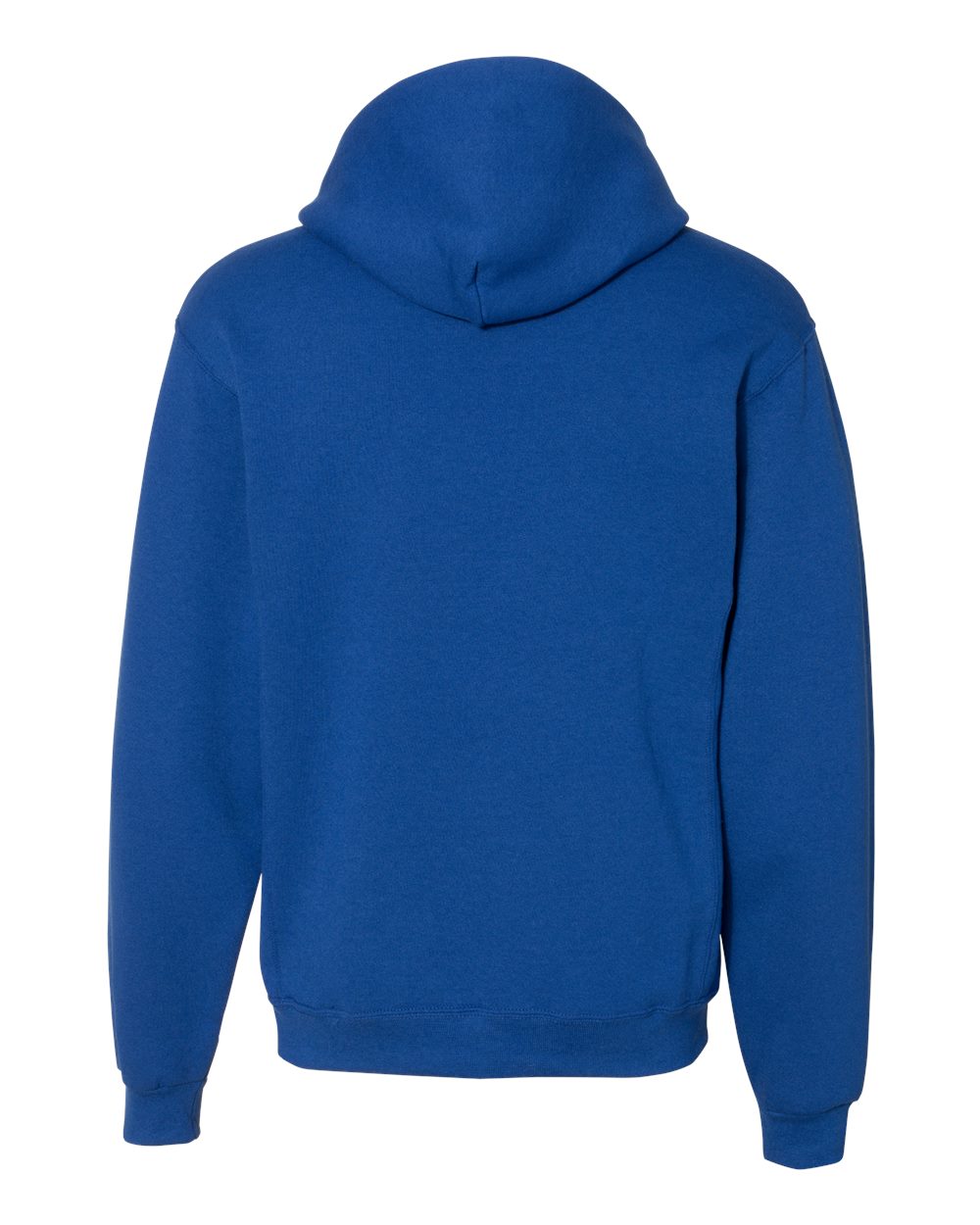 Russell Athletic Unisex Dri Power® Hooded Sweatshirt - 695HBM Royal
