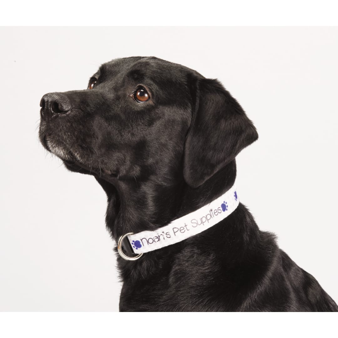  Full Color 1" Wide Adjustable Pet Collar - SM-8058