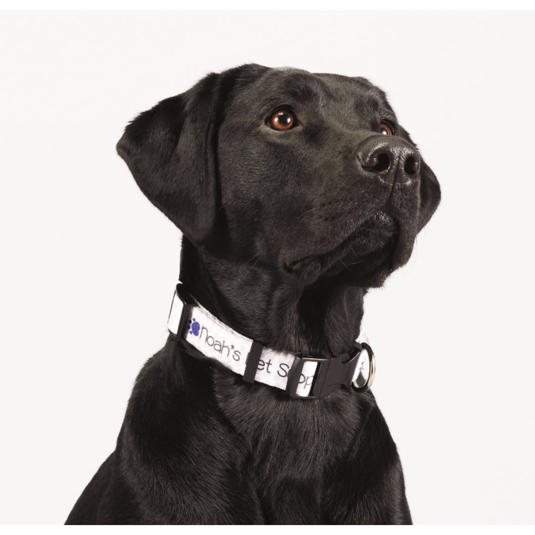 Full Color 1" Wide Adjustable Pet Collar - SM-8058 Multi