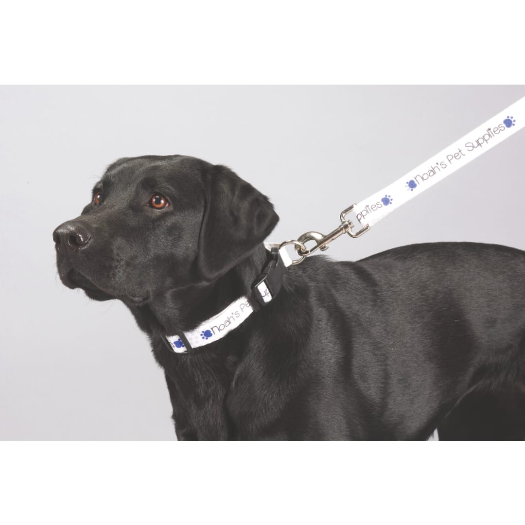 Full Color 1" Wide Premium Pet Leash - SM-8060 Multi