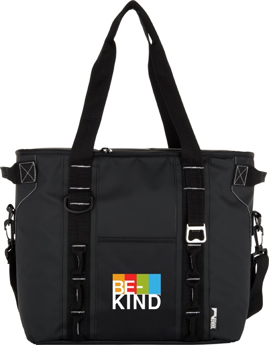 Urban Peak Glacière à pentures Urban Peak® 24 cannettes - CB157 White