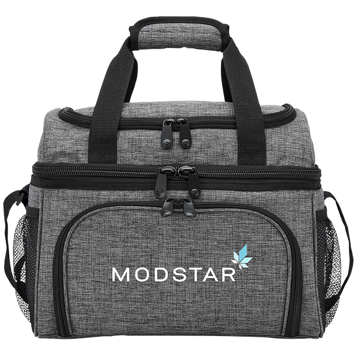 Glacière 24 cannettes Parcel - CB160 Gray