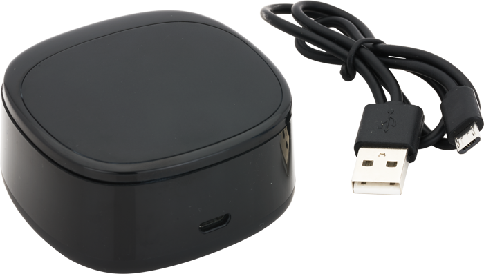 EL193 Wireless Earbuds Black