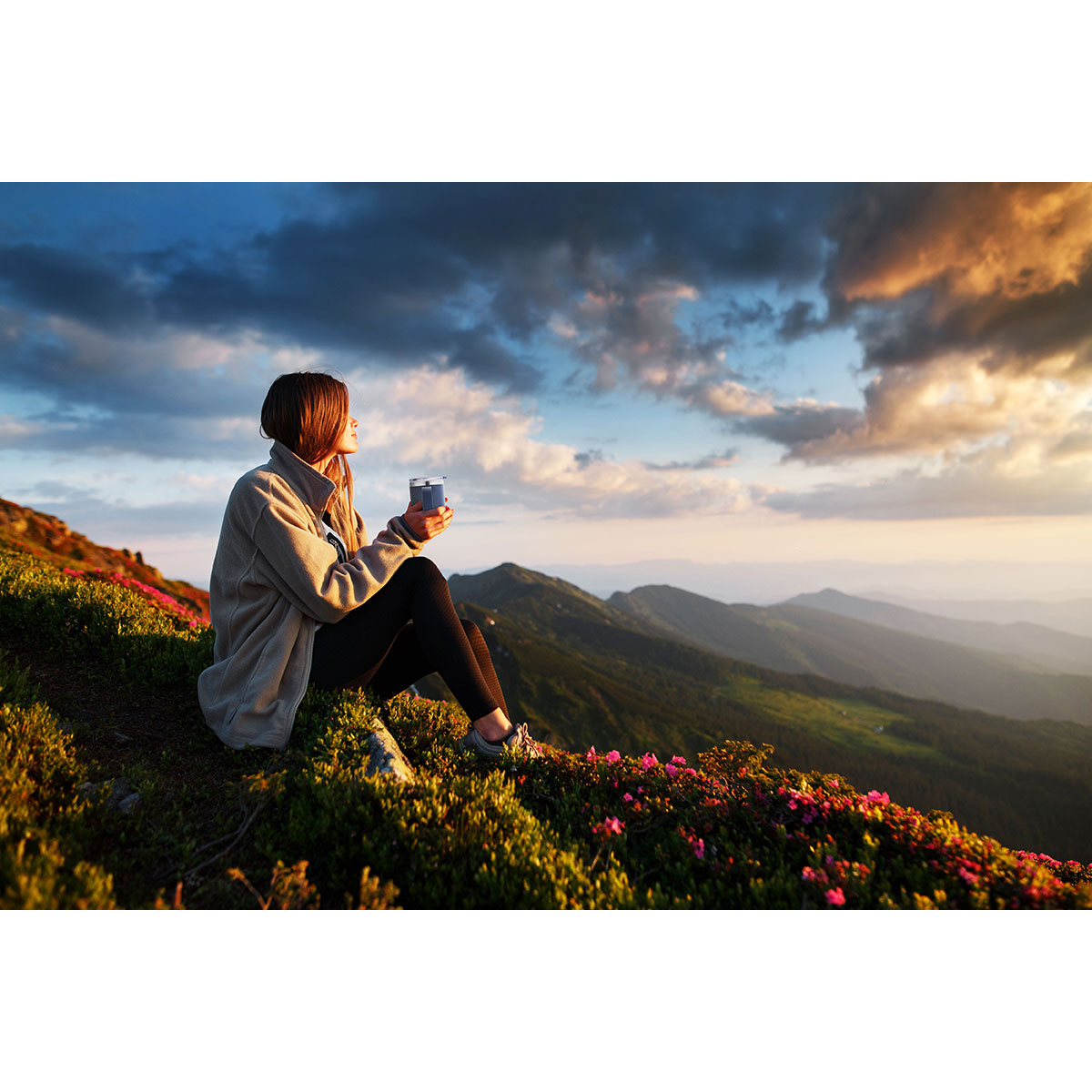 Urban Peak Urban Peak® Tasse de camp sous vide Summit 14 oz - SL259PR White