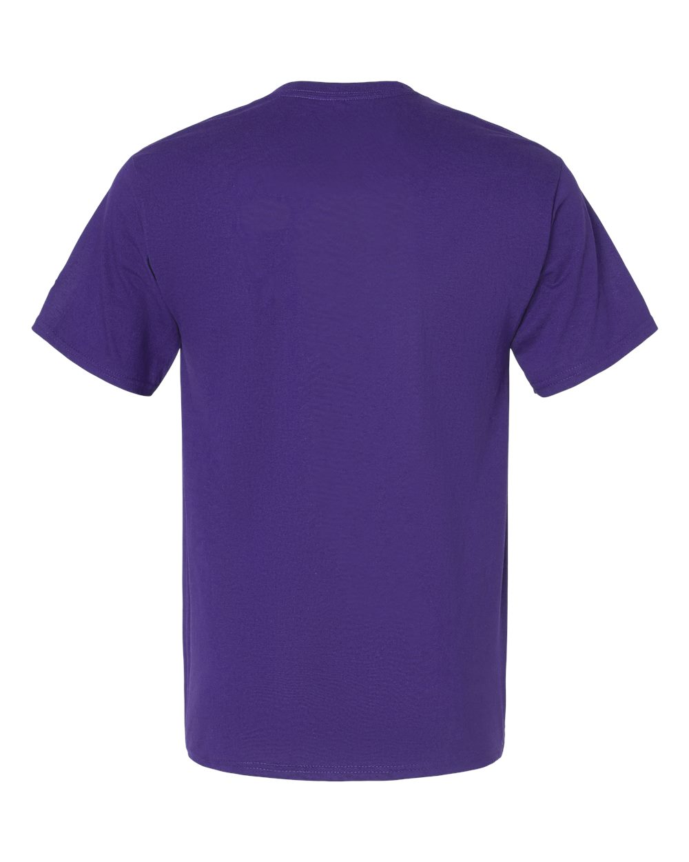 Champion Unisex Classic T-Shirt - T425 Purple