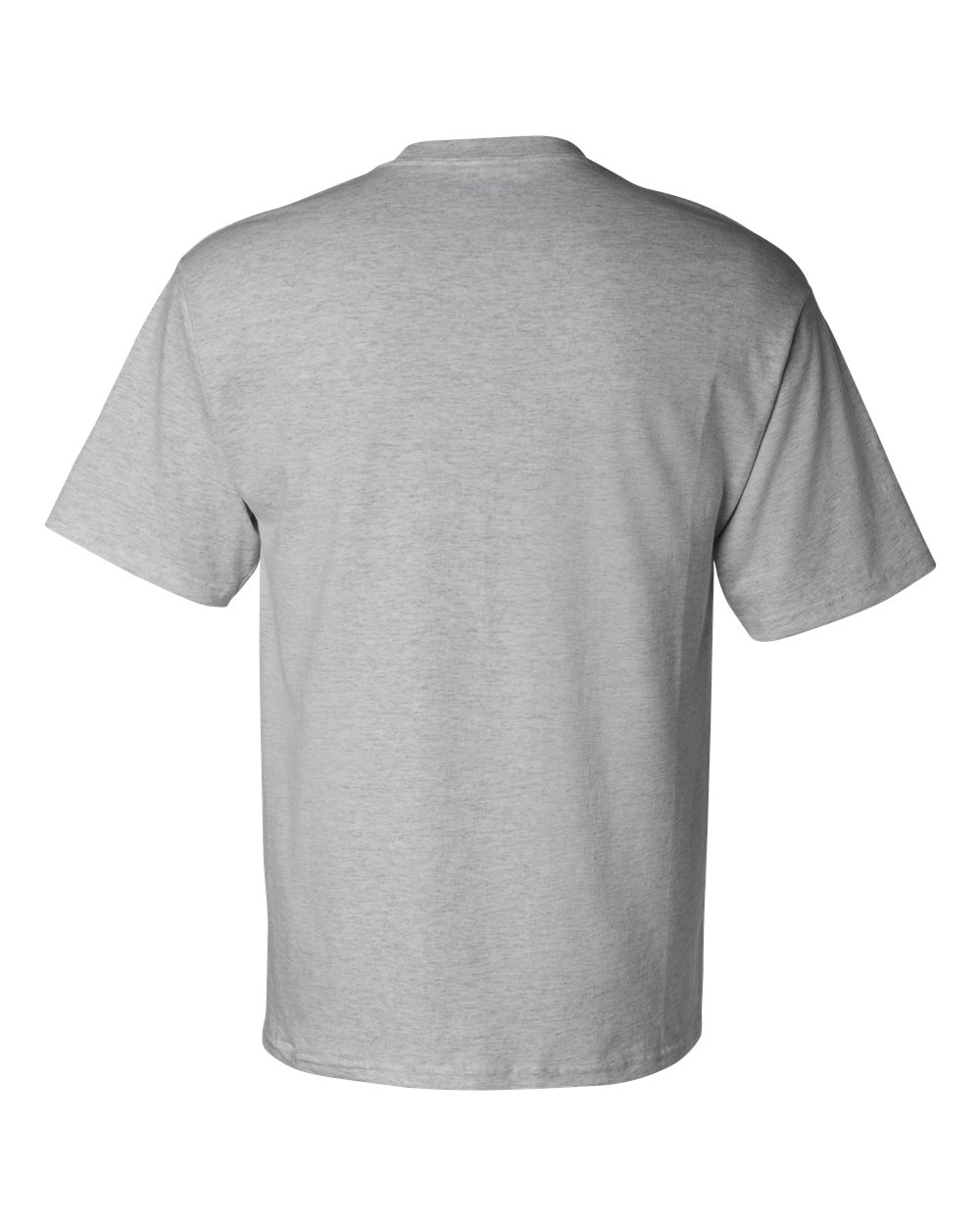 Champion Unisex Classic T-Shirt - T425 Light Steel