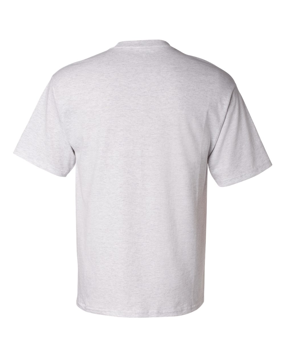 Champion Unisex Classic T-Shirt - T425 Ash